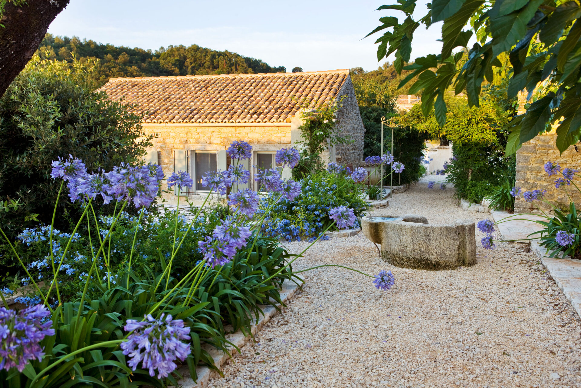 The Rou Estate, Corfu, Greece, Meditteranean Style Garden - Gravel Path and Agapanthus with Well and Pergola