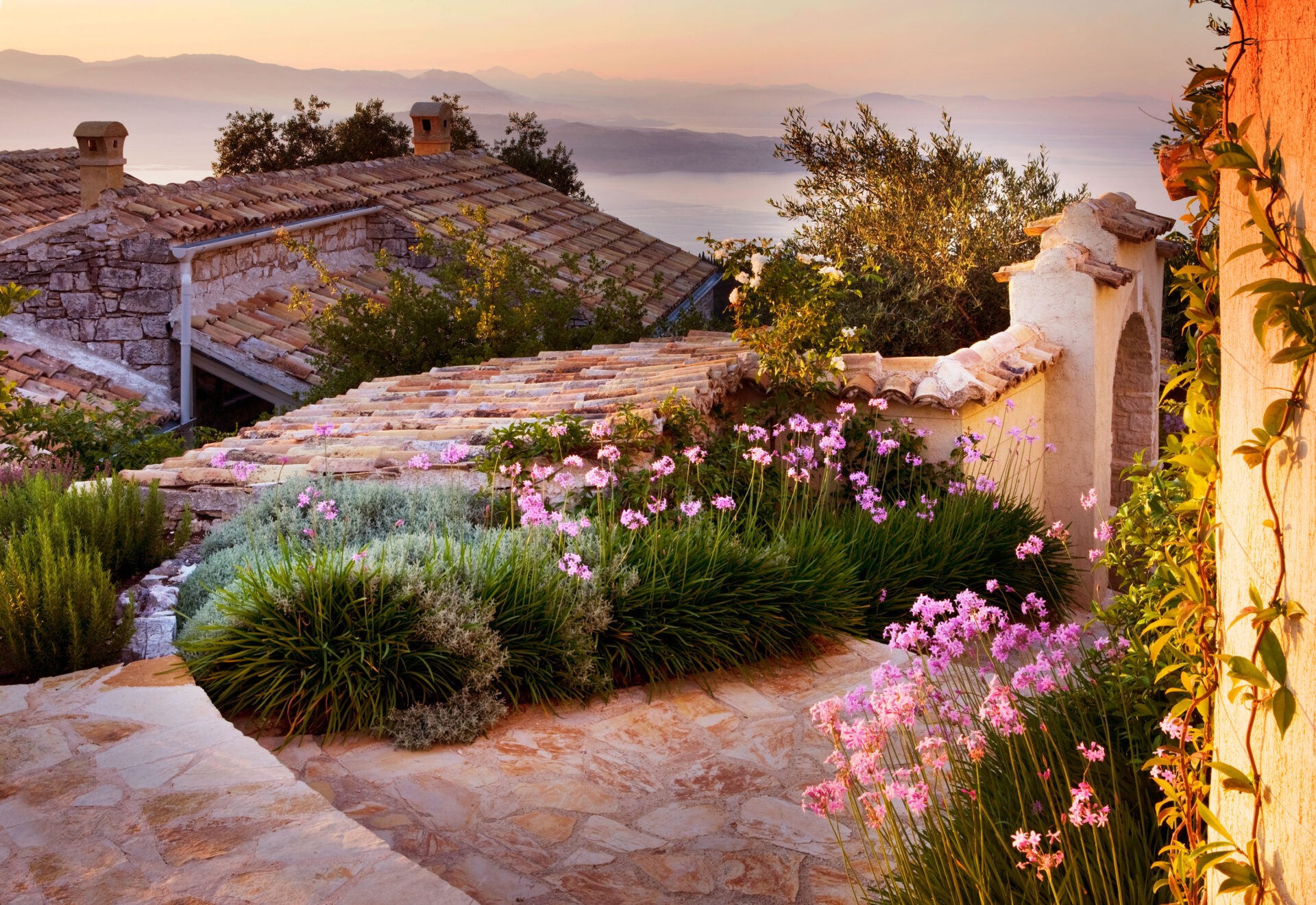 THE ROU ESTATE, CORFU, GREECE: DESIGNER: DOMINIC SKINNER - MEDITTERANEAN STYLE GARDEN - PATH THROUGH VILLAGE WITH TULBAGHIA VIOLACEA AND MOUNTAINS OF ALBANIA IN THE BACKGROUND
