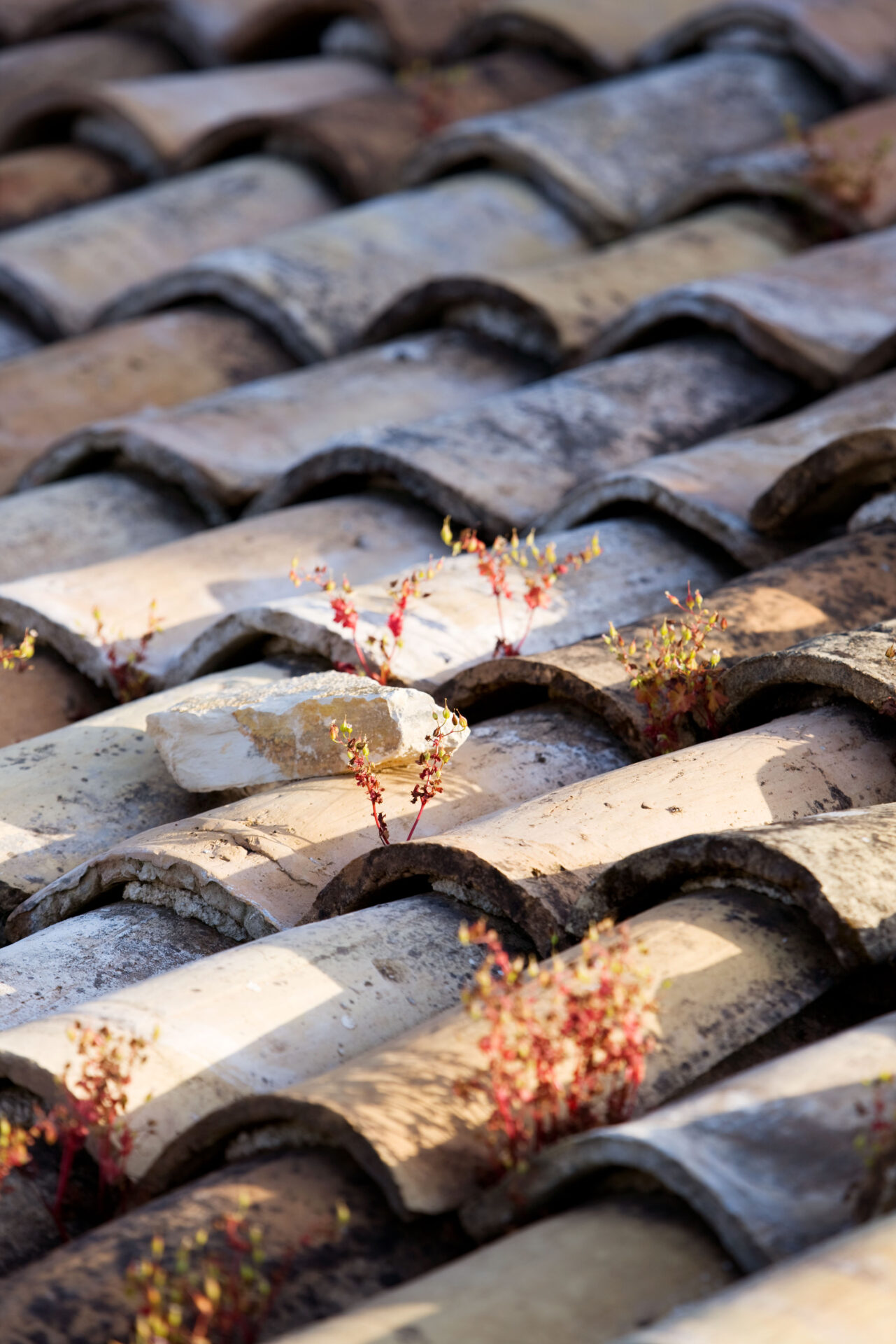 The Rou Estate Corfu Greece Detail of Tiled Roof
