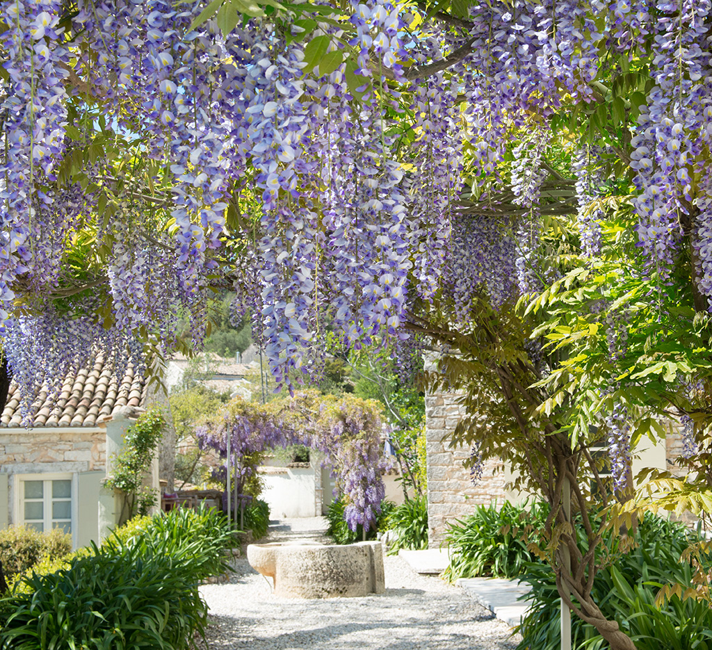 The Rou Estate Corfu Greece and its lifestyle by design philosophy